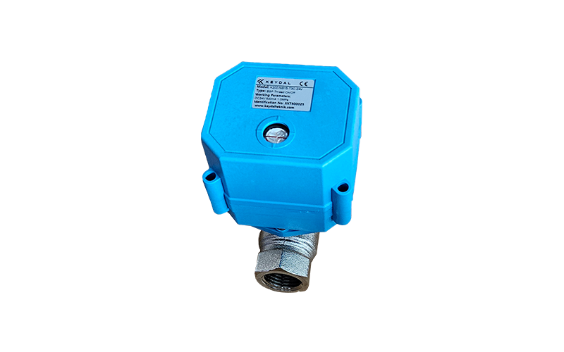 K200-NB15-T3C-24V Motorlu Vana