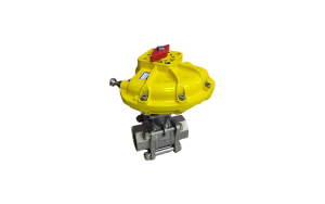 Kinetrol Küresel Vana